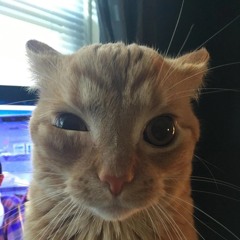 future hendrix - 22 years