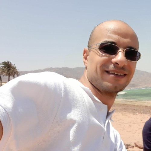 Mahmoud Saleh El Gawish’s avatar