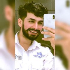 Waleed Qureshi