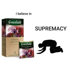 STNZzzy