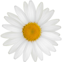 Ƹ̵̡Ӝ̵̨̄Ʒ*✲☆⋆ KETIMANE ⋆☆✲*Ƹ̵̡Ӝ̵̨̄Ʒ