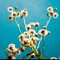 chrysanthemum