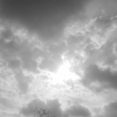 بهروز صادقی