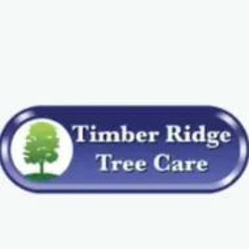 Stream How To Water Newly Planted Trees & Shrubs by Timber Ridge Tree