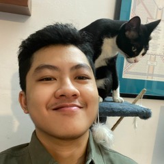 yanbui1203@gmail.com