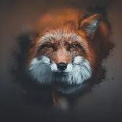 FunkyFox