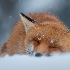 Hotline Miami 2 Soundtrack