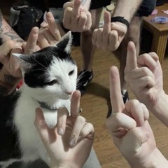 Hamhurger