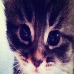 vincent