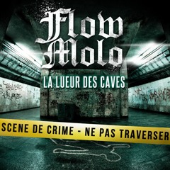 Flow Molo