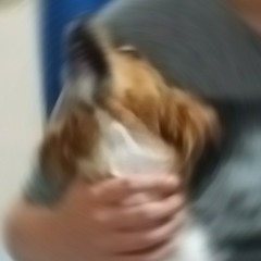TheGriff25