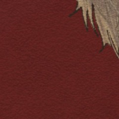 junoes ᵉˣᵗʳᵃ