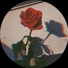 SKATEART90Z