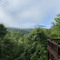 RockytopbigD