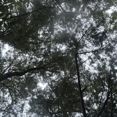 asahi_okumoto
