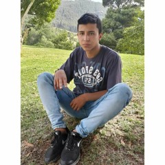 _DM_colmenares_