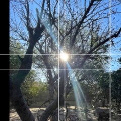 edgar lizárraga ele