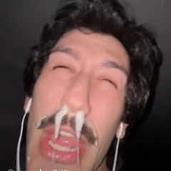 Mathieu Noel Vaillant