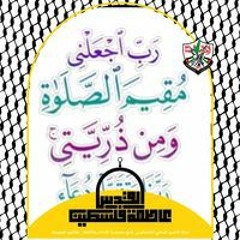 Omar M Abu Alkhair