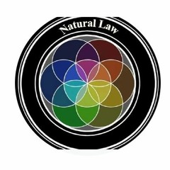 experimental-futureloops