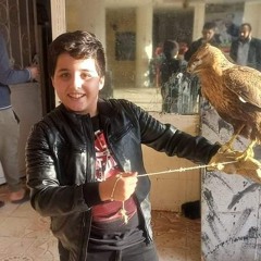 مجاهدشعبان الراجحي