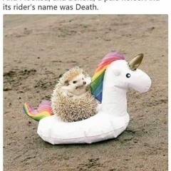 hedgeunicorn