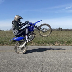 Kspringer