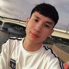 I'M BIN 🇻🇳