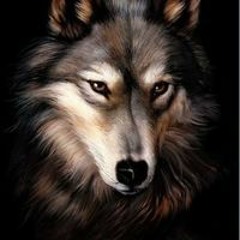 Untitled Playlist