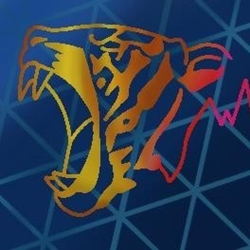 TigerVibes’s avatar