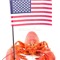 american lobsters