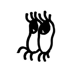 Distorama, l'émission des bas-fonds