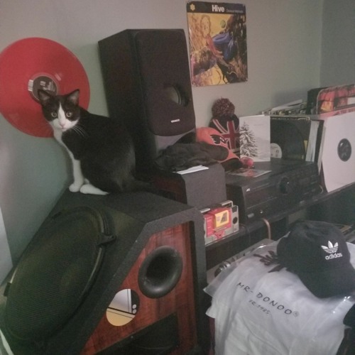 Realize (DnB Hate Potion refix)