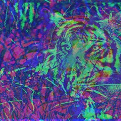 infraspectiv