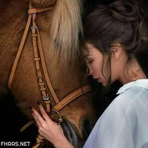 🐎🐎صهيل 🐎🐎العاديات 🐎🐎’s avatar