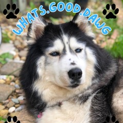 whats.good.dawg