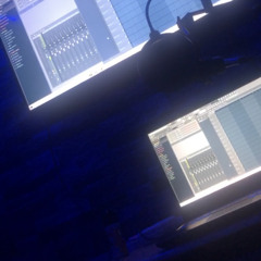 SheLovesFlStudio