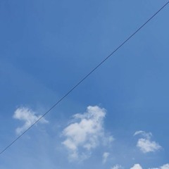 S L V S H  T H R E E