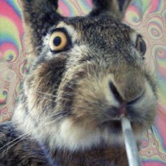 pablob