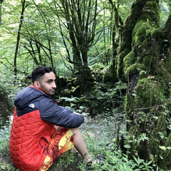 omid.vr
