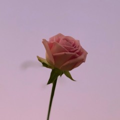 st.belle_a