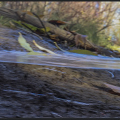 CoD players ☠️☠️