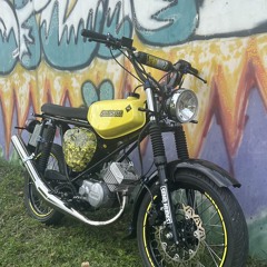 Huhn88_69