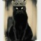 cat's 👑Queen