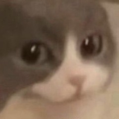 Sploinkers the Trash Collector