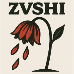 ZVSHI