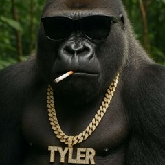 Tyler Lindsay