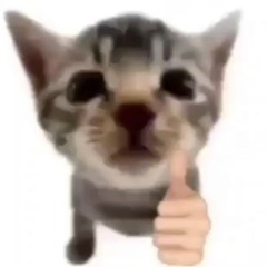 ```《MARYSTAR🏝🐳🌈🔲🔳》```