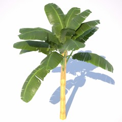Bake Fananas