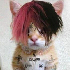 mlody$ali